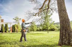 How Our Tree Care Process Works  in Beloit, OH